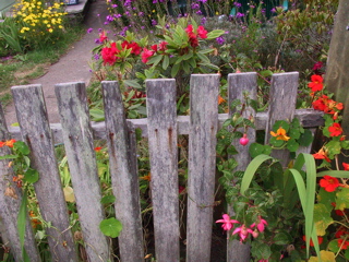 garden fence